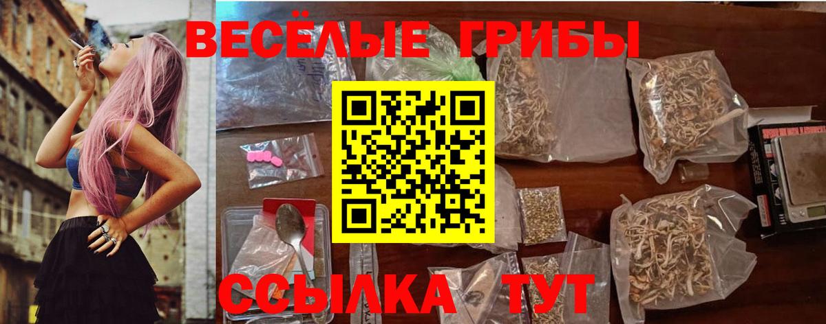 как найти наркотики  Галлюциногенные грибы Cubensis  Архангельск  Вход с VPN  Галлюциногенные грибы Psilocybe 