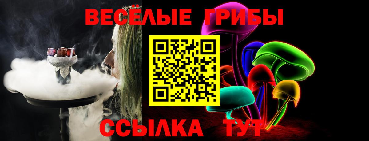 Галлюциногенные грибы мухоморы Архангельск